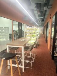Robinson 77 (D1), Office #539417141